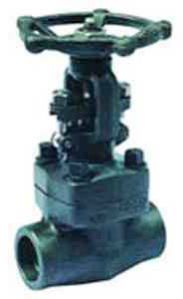 Forged Valve