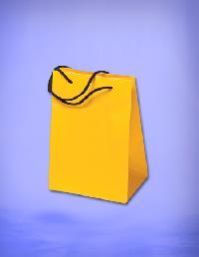 LLDPE Flexo Printed Bags