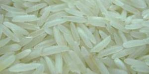 Basmati Rice