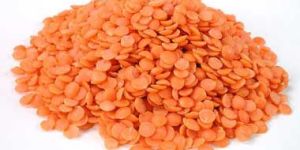 Red Lentils