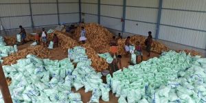 Farm Fresh Semi Husked Coconut