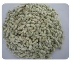 Cotton Seeds