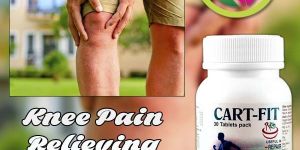 Knee Pain Relieving Ayurvedic Drugs