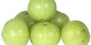 Fresh Amla