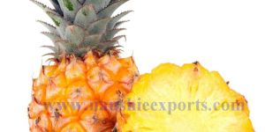 Fresh Pineapple