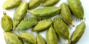 Cardamom