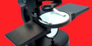 Dissecting Microscope