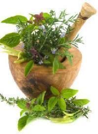Herbal Raw Materials