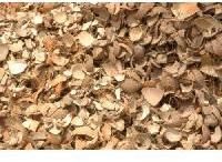 Coconut Shell Chips