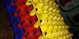Plastic Egg Trays