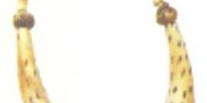 Artificial Necklace (Sjn 5)