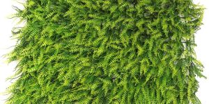 Eucalyptus Grass Mat