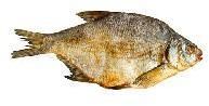 Dry Sea Fish