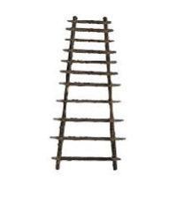 Rope Ladder
