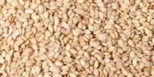 Sesame Seed
