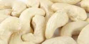 Cashew Nut