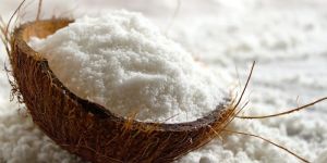 Desiccated Coconut Powder