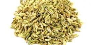Fennel Seeds