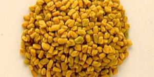 Fenugreek Seeds