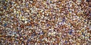 Horse Gram Kulth