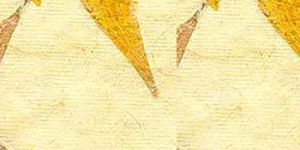 Handmade Made Paper with Petals