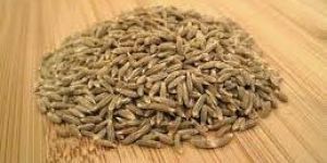 Cumin Seeds