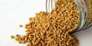Fenugreek Seeds