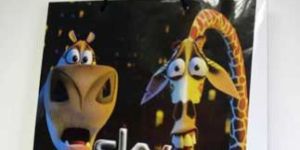 HDPE Laminated Paper Bags