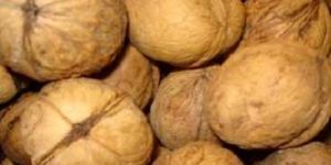Walnuts
