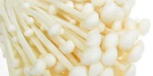 Enoki Mushroom