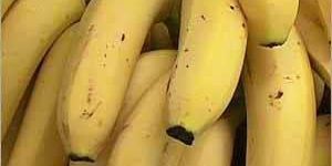 Fresh Banana