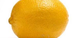 Fresh Lemon