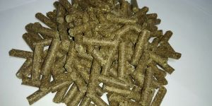 Biomass Pellet ( Castor De-oiled Pellet)