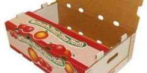 Fruits Corrugated Boxes