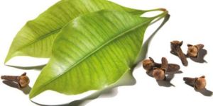Clove Leaf Oil
