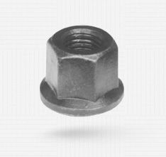 Flanged Nut