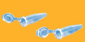 Micro Centrifuge Tubes