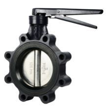 Butterfly Valve