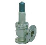 Safety Valve
