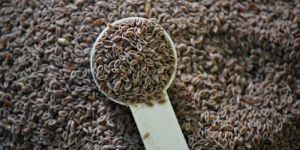Psyllium Seeds
