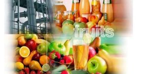 Fruit Juice Processing Plant