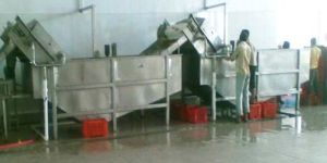 Fruit & Vegetable Washer