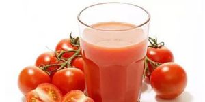 Tomato Ketchup Processing Plant