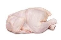 Poultry Meat