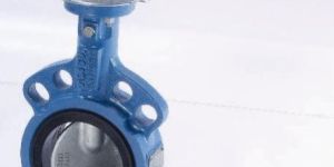 Butterfly Valve