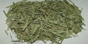 Organic Lemongrass (Organic Cymbopogon Citratus)