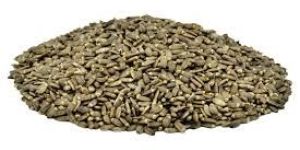 Organic Milk Thistle (Organic Silybum Marianum)