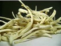 Organic Safed Musli (Organic Chlorophytum Borivilianum)