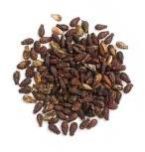 Shivlingi Seeds (Bryonia Laciniosa)