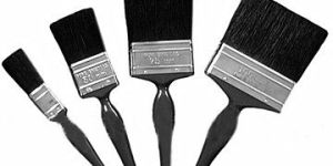 Paint Brushes